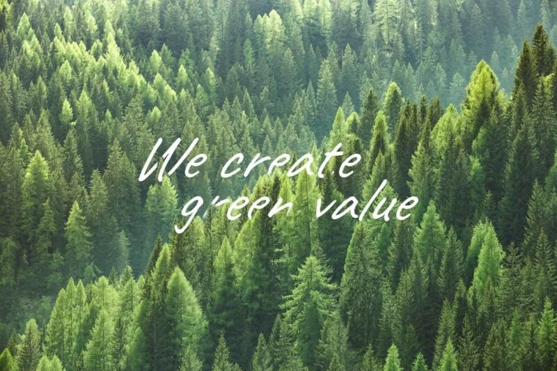 norske skog golbey vision we create green value