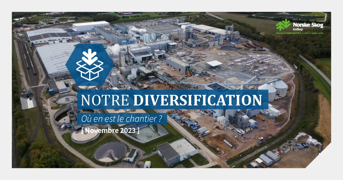 Avancement du projet de diversification de Norske Skog Golbey