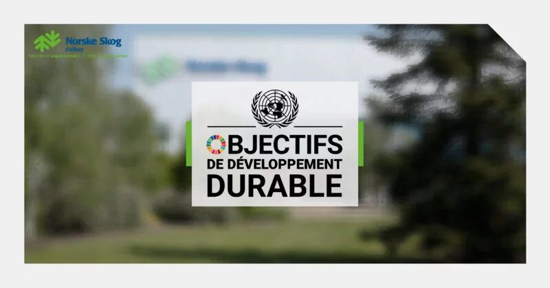 Les Objectifs de Developpement Durable des Nations Unies