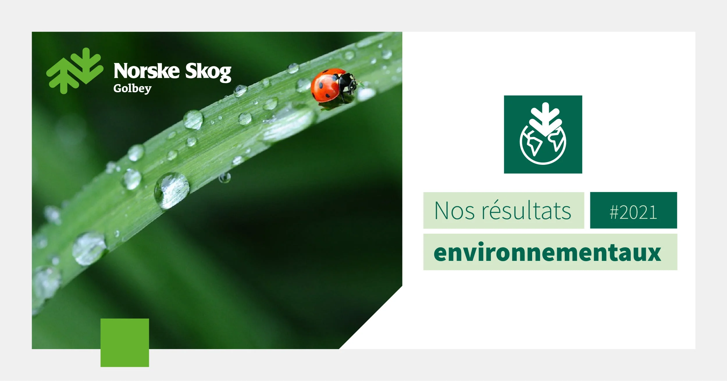 Les résultats environnementaux de Norske Skog Golbey en 2021