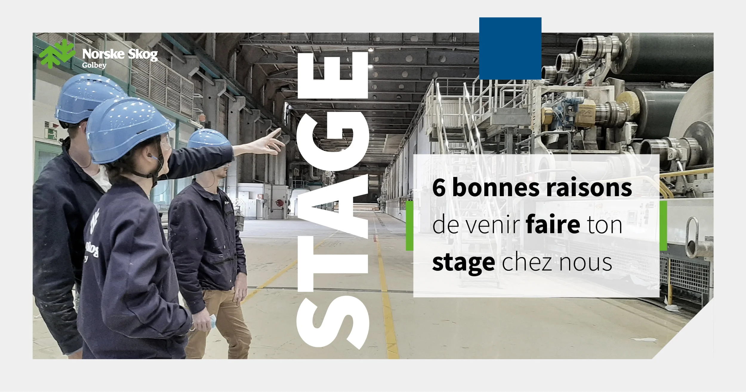 Norske Skog Golbey propose des stages aux étudiants désireux d'intégrer une entreprise en pleine diversification