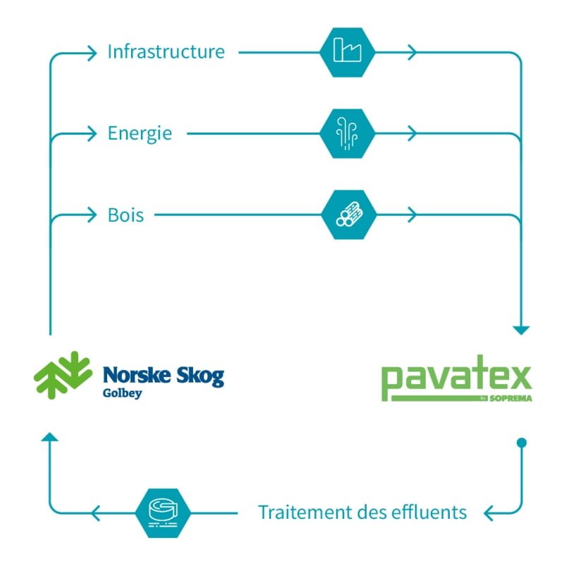 norske skog golbey rse schema pavatex ecosysteme